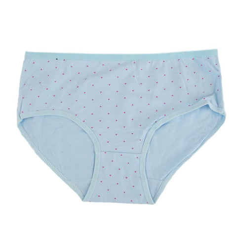 Women's Fancy Panty - Blue - test-store-for-chase-value