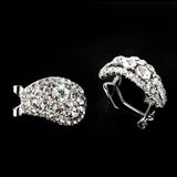 Women's Fancy Earrings - test-store-for-chase-value